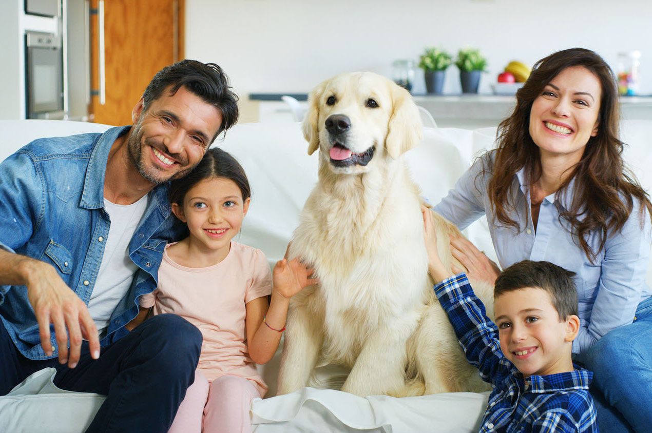 Familienleben mit Haustier