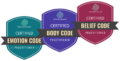 Zertifikate Emotionscode, Bodycode und Belief Code