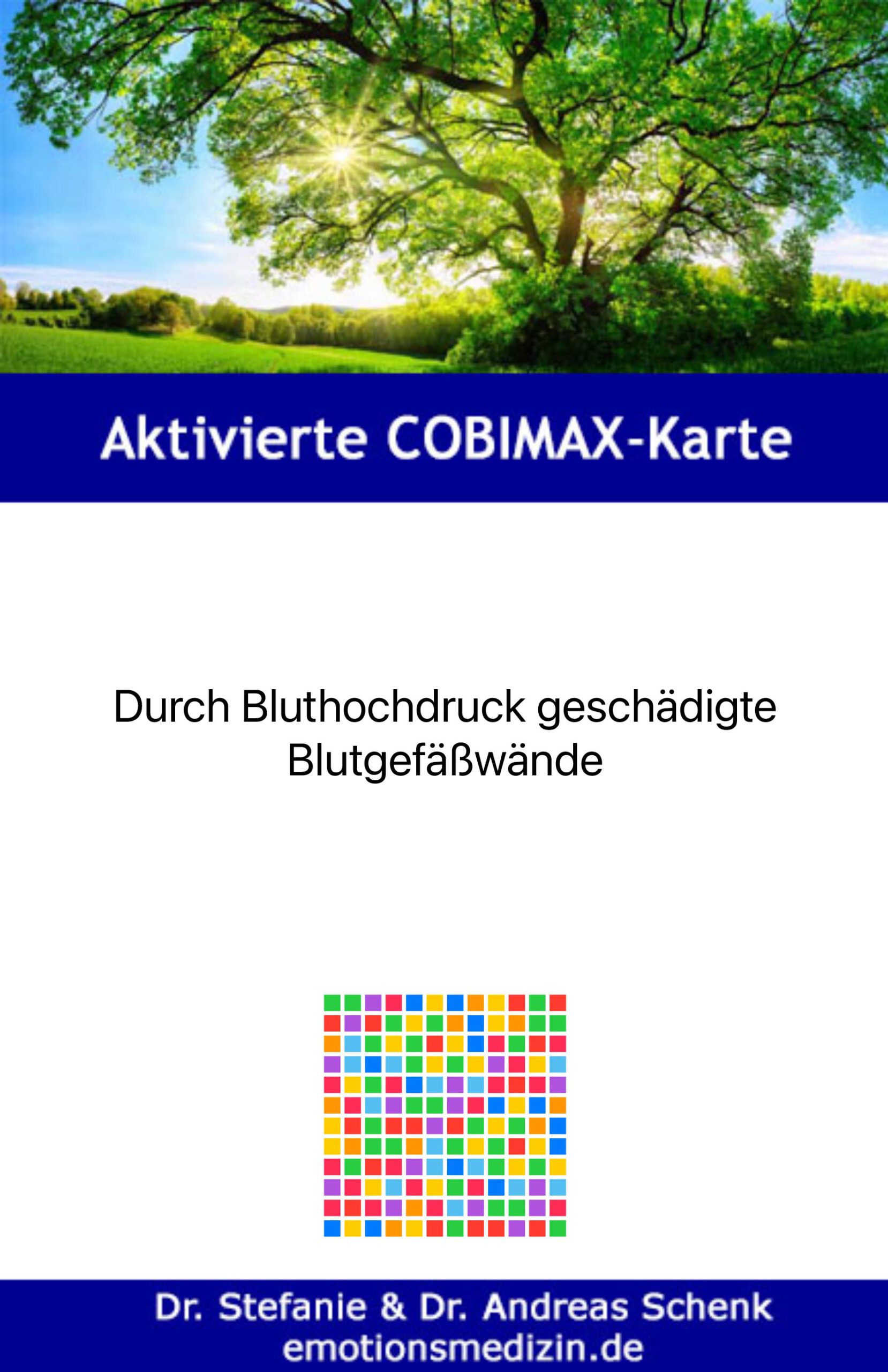 COBIMAX Beispielkarte Bluthochdruck